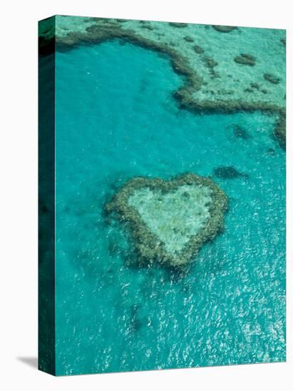 Australia, Queensland, Whitsunday Coast, Great Barrier Reef, Heart Reef, Aerial View-Walter Bibikow-Premier Image Canvas