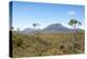 Australia, Tasmania, Cradle Mountain-Lake St Clair NP. Vistas from Overland Track.-Trish Drury-Premier Image Canvas