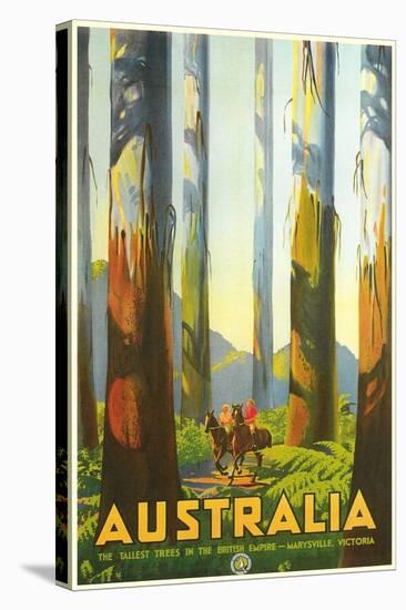 Australia Travel Poster, Trees-null-Stretched Canvas