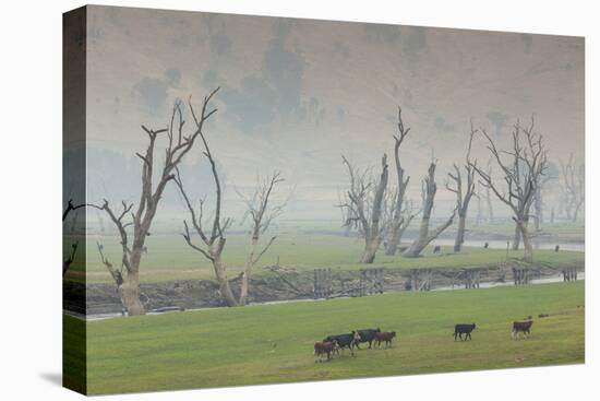 Australia, Victoria, Huon, Lake Hume with Forest Fire Smoke-Walter Bibikow-Premier Image Canvas