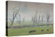 Australia, Victoria, Huon, Lake Hume with Forest Fire Smoke-Walter Bibikow-Premier Image Canvas