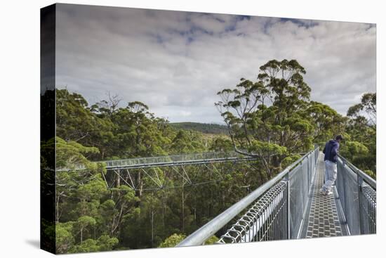 Australia, Walpole Nornalup, Valley of the Giants Tree Top Walk-Walter Bibikow-Premier Image Canvas