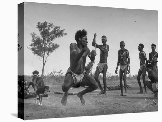 Australian Aborigines Filled with the Spirit of the Kangaroo, Dancing to Honor the Sacred Marsupial-Fritz Goro-Premier Image Canvas