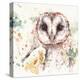 Australian Barn Owl-Sillier than Sally-Stretched Canvas