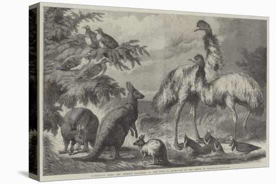 Australian Birds and Animals Presented by the Duke of Edinburgh to the Prince of Wales-Samuel John Carter-Premier Image Canvas