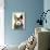 Australian Cattle Dog-Adefioye Lanre-Premier Image Canvas displayed on a wall