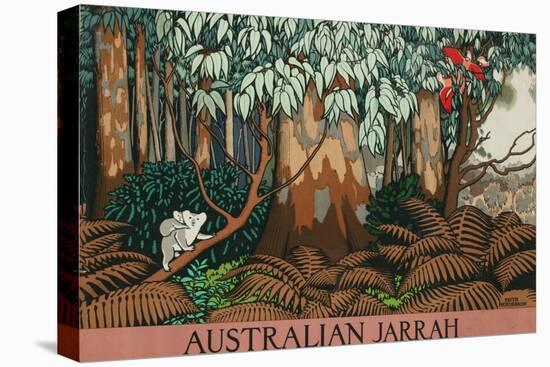 Australian Jarrah-Keith Henderson-Premier Image Canvas