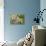 Australian Koala Bear & Baby -null-Stretched Canvas displayed on a wall