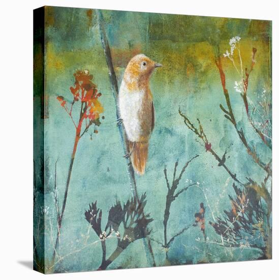 Australian Reed Warbler-Trudy Rice-Stretched Canvas