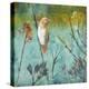 Australian Reed Warbler-Trudy Rice-Stretched Canvas