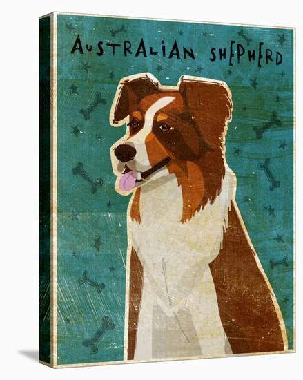 Australian Shepherd (Red)-John W Golden-Stretched Canvas