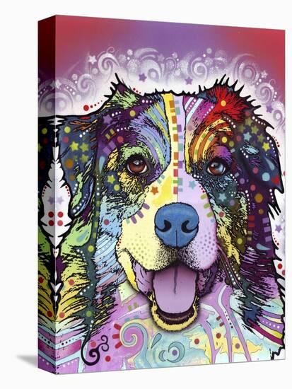 Australian Shepherd-Dean Russo-Premier Image Canvas