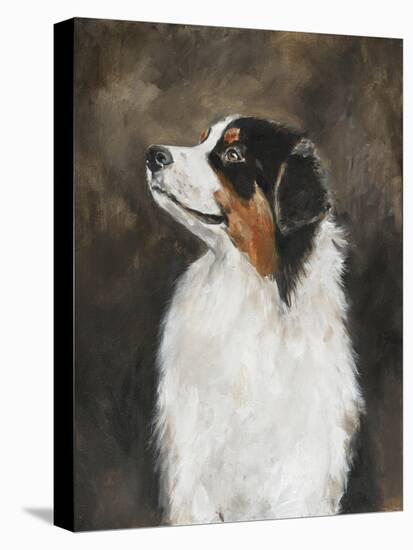 Australian Shepherd-Solveiga-Premier Image Canvas