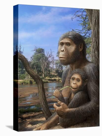 Australopithecus Afarensis, Artwork-Mauricio Anton-Premier Image Canvas