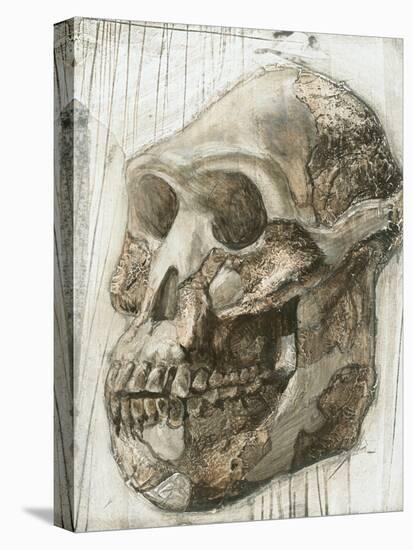 Australopithecus Afarensis Skull-Kennis and Kennis-Premier Image Canvas
