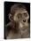 Australopithecus Afarensis-Javier Trueba-Premier Image Canvas