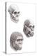 Australopithecus Africanus-Mauricio Anton-Premier Image Canvas