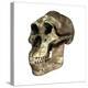 Australopithecus Boisei Skull-Friedrich Saurer-Premier Image Canvas