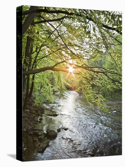 Austria, Baden Near Vienna, Helenental, River Schwechat (Village)-Rainer Mirau-Premier Image Canvas