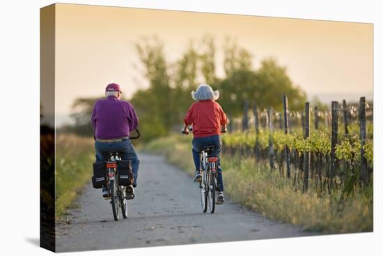 Austria, Burgenland, Neusiedlersee (Lake), Fertš National Park, Senior Citizen's Couple-Rainer Mirau-Premier Image Canvas