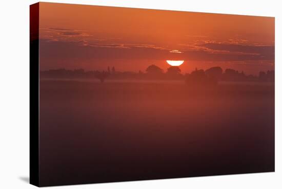 Austria, Burgenland, Neusiedlersee (Lake), Fertš National Park, Sunrise-Rainer Mirau-Premier Image Canvas