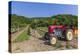 Austria, Lower Austria, Gumpoldskirchen, Vineyards-Gerhard Wild-Premier Image Canvas