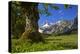 Austria, Pertisau, Gramaialm-Ludwig Mallaun-Premier Image Canvas