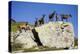 Austria, Styria, Schladminger Tauern, Rocks, Mountain-Goats, Nature-Rainer Mirau-Premier Image Canvas