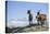 Austria, Styria, Schladminger Tauern, Rocks, Mountain-Goats, Nature-Rainer Mirau-Premier Image Canvas