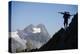 Austria, Tyrol, …tztaler Alpen, Wildspitze, Summit, Man, Mountainbike, Carries-Rainer Mirau-Premier Image Canvas