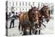 Austria, Vienna, Cab, Horses-Gerhard Wild-Premier Image Canvas