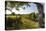 Austria, Vienna, Stammersdorf, Vines, Walnut-Tree, Footpath-Gerhard Wild-Premier Image Canvas