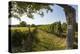 Austria, Vienna, Stammersdorf, Vines, Walnut-Tree, Footpath-Gerhard Wild-Premier Image Canvas