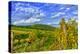 Austria, Vienna, urban vineyards.-Richard Duval-Premier Image Canvas