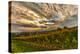 Austria, Vienna, urban vineyards.-Richard Duval-Premier Image Canvas