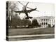 Autogiro Takes Off at White House-null-Premier Image Canvas