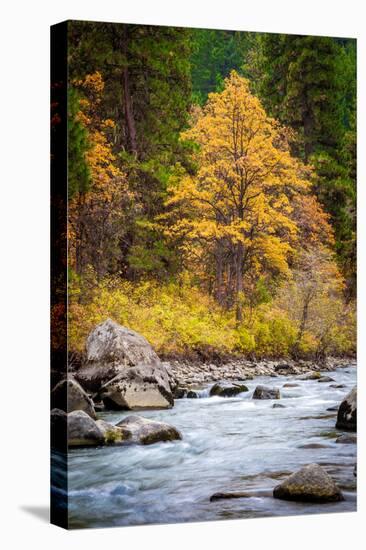 Autumn Across The River-Michael Broom-Premier Image Canvas