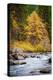 Autumn Across The River-Michael Broom-Premier Image Canvas