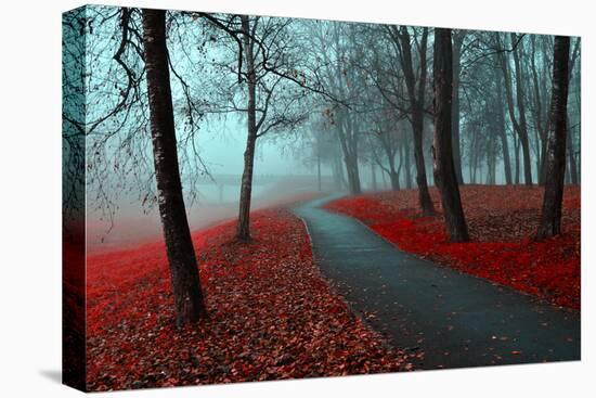 Autumn Alley in the Fog - Gothic Autumn Landscape in Cloudy Weather with Bare Red Trees along Alley-null-Premier Image Canvas