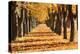 Autumn Alley-maksheb-Premier Image Canvas