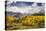 Autumn aspen trees and Sneffels Range, Mount Sneffels Wilderness, Colorado-Adam Jones-Premier Image Canvas