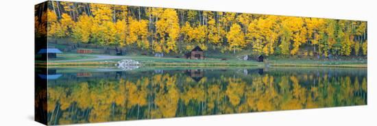 Autumn Aspens Along Route 550, North Durango, Colorado-null-Stretched Canvas