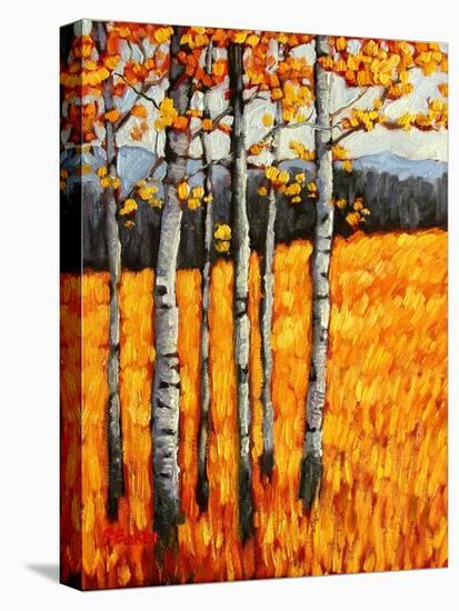 Autumn Aspens at Winter Park, Colorado-Patty Baker-Stretched Canvas