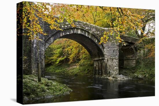 Autumn at Holne Bridge, Dartmoor, England-David Clapp-Premier Image Canvas