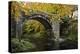 Autumn at Holne Bridge, Dartmoor, England-David Clapp-Premier Image Canvas