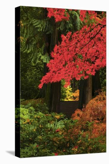 Autumn at Portland Japanese Garden, Portland, Oregon, USA-Michel Hersen-Premier Image Canvas
