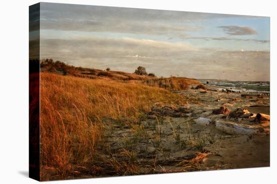 Autumn At The Mouth Of The Big Sable-Michelle Calkins-Stretched Canvas