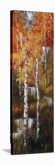 Autumn Birch Falls-Art Fronckowiak-Stretched Canvas