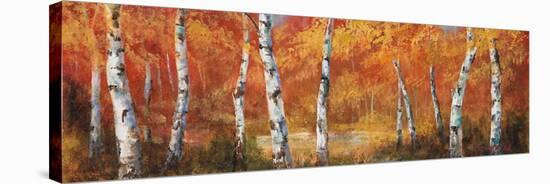 Autumn Birch I-Art Fronckowiak-Stretched Canvas