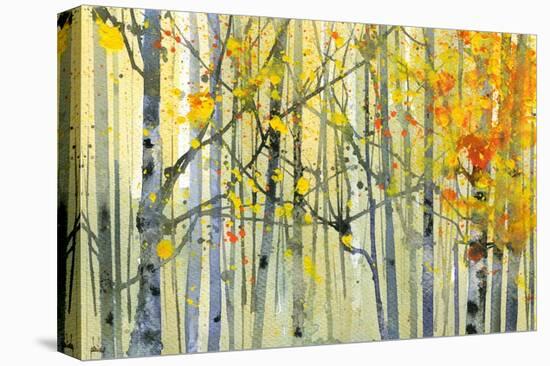 Autumn Birches-Paul Bailey-Stretched Canvas